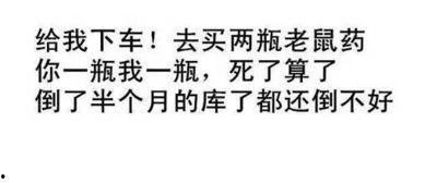 娱乐吃瓜酱经典语录搞笑